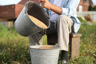 Photo of Senior man pouring wheat grains into bucket outdoors, closeup