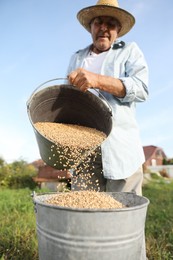 Photo of Senior man pouring wheat grains into bucket outdoors, low angle view