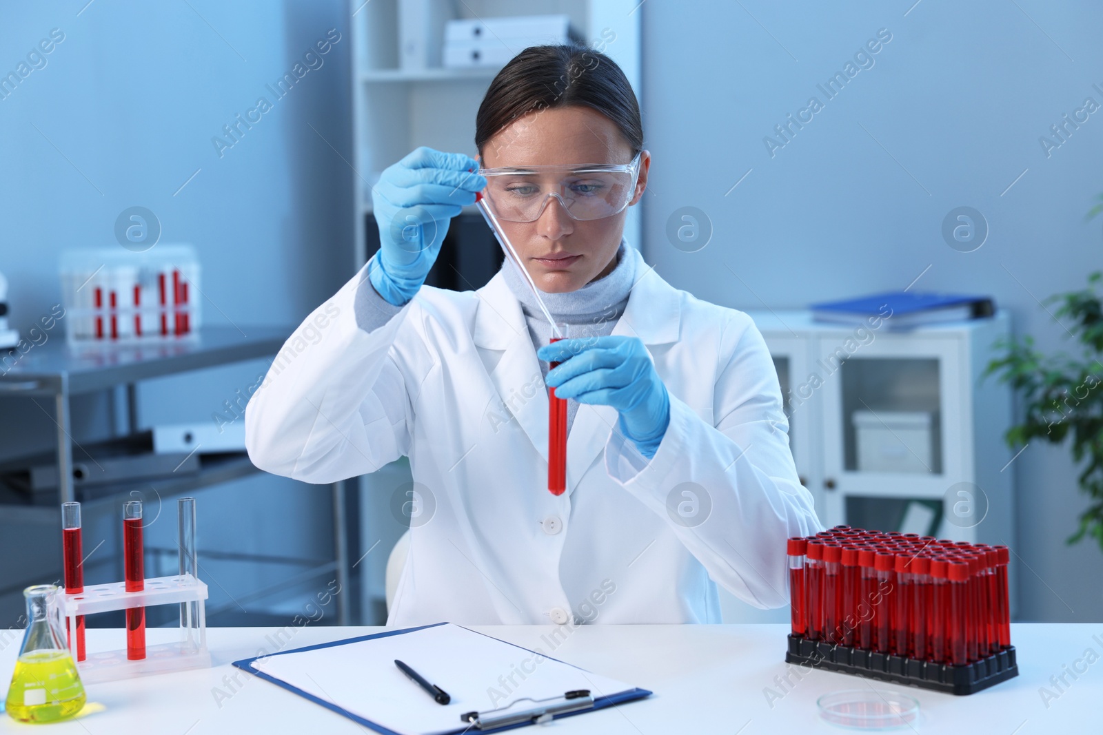 Photo of Laboratory testing. Doctor dripping blood sample into test tube at table indoors