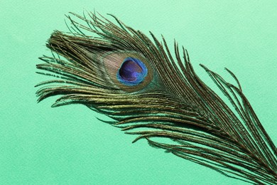 Photo of One beautiful peacock feather on turquoise background, top view