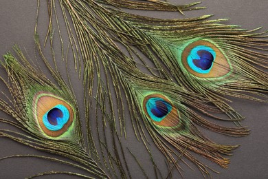 Photo of Many beautiful peacock feathers on dark grey background, top view