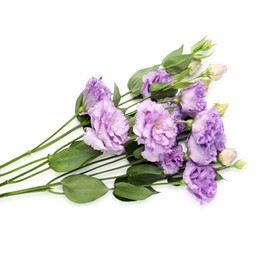 Photo of Beautiful violet eustoma flowers with green leaves isolated on white, top view