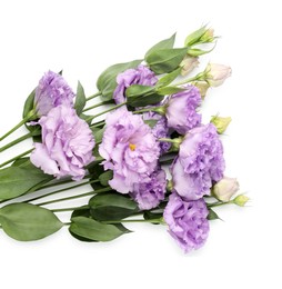 Photo of Beautiful violet eustoma flowers with green leaves isolated on white, top view