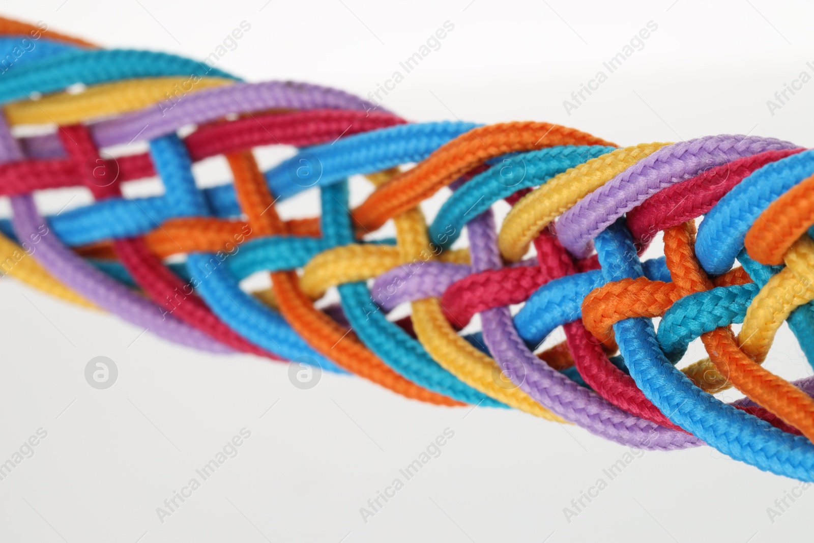 Photo of Colorful ropes tied together isolated on white. Unity concept