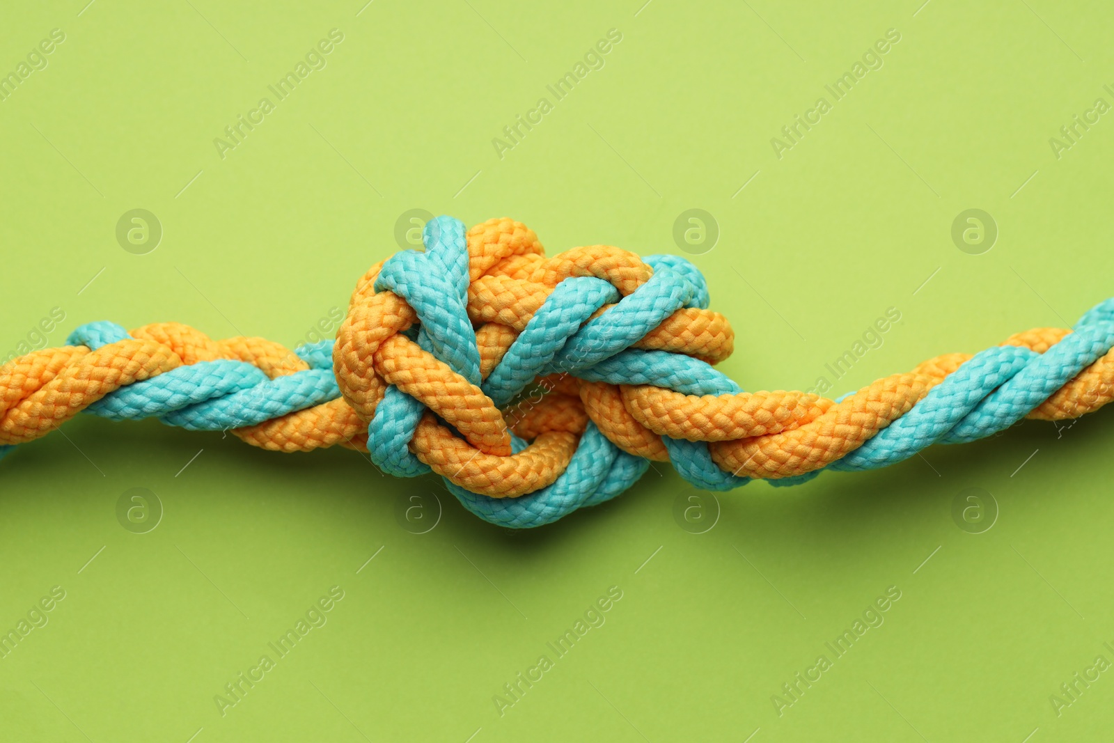 Photo of Colorful ropes tied in knot on light green background, top view. Unity concept