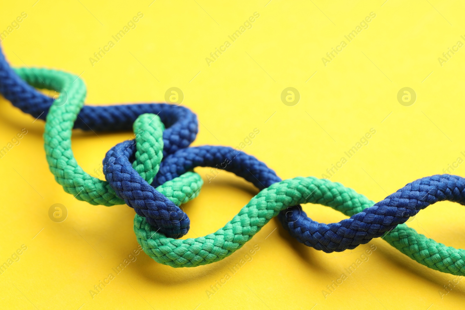 Photo of Colorful ropes tied in knot on yellow background, closeup. Unity concept