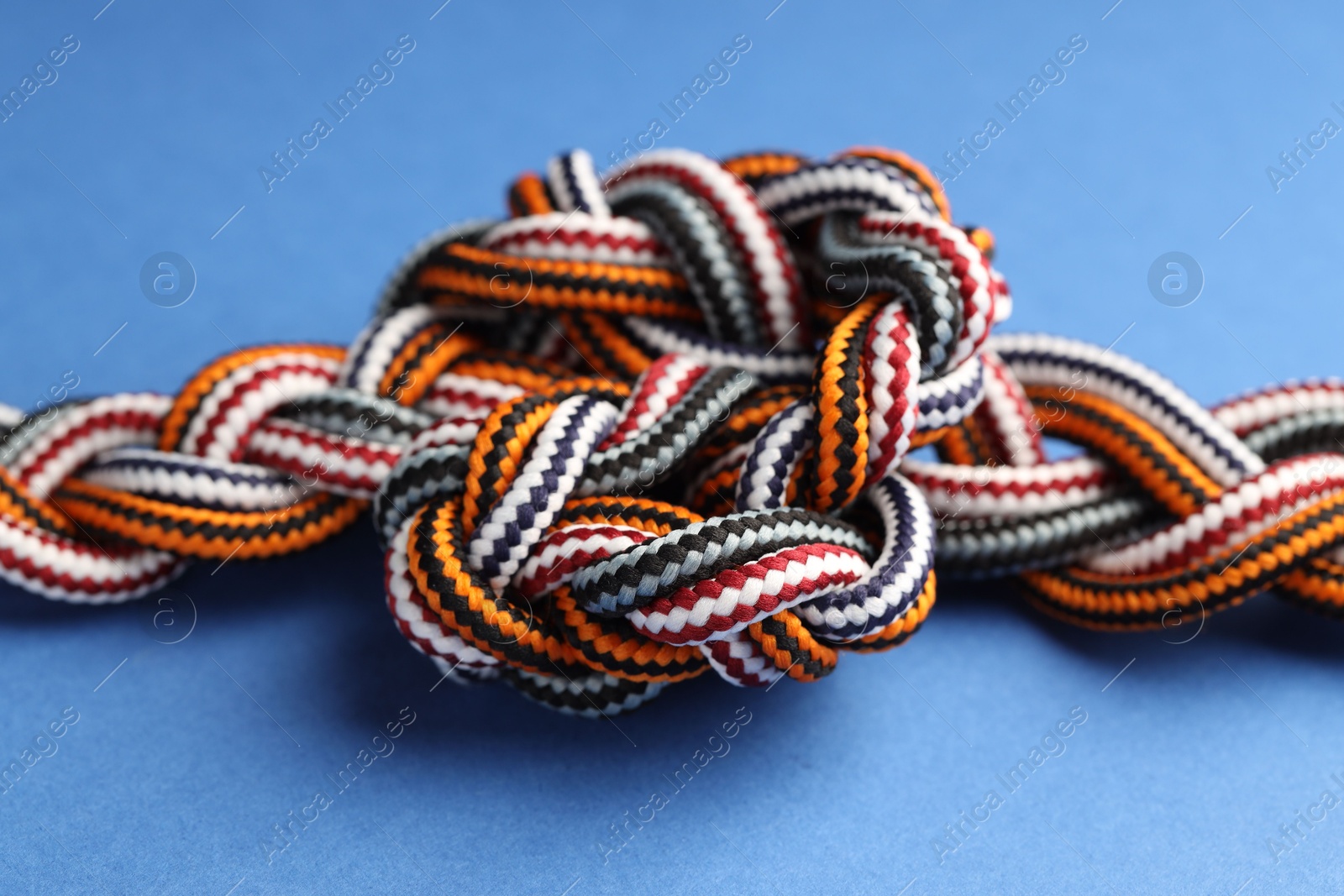 Photo of Colorful ropes tied in knot on blue background, closeup. Unity concept