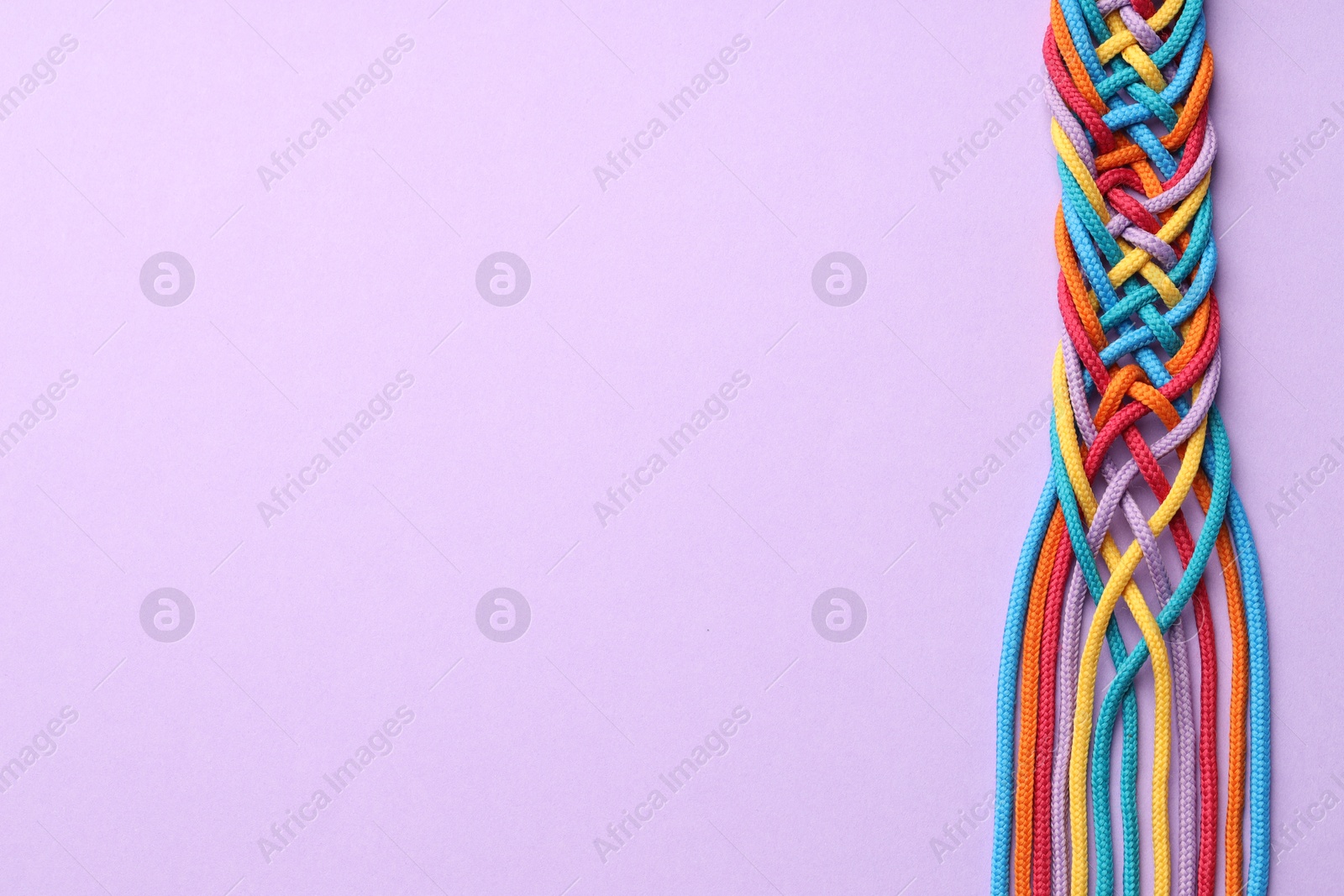 Photo of Colorful ropes tied together on violet background, top view and space for text. Unity concept