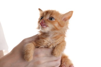 Teenage boy holding cute ginger kitten on white background, closeup