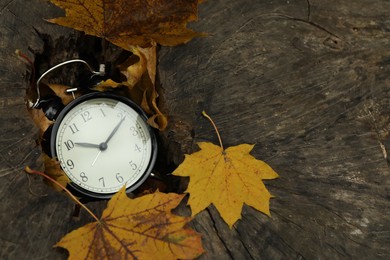 Photo of Autumn time. Alarm clock in tree stump outdoors, closeup