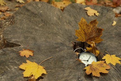 Photo of Autumn time. Alarm clock in tree stump outdoors