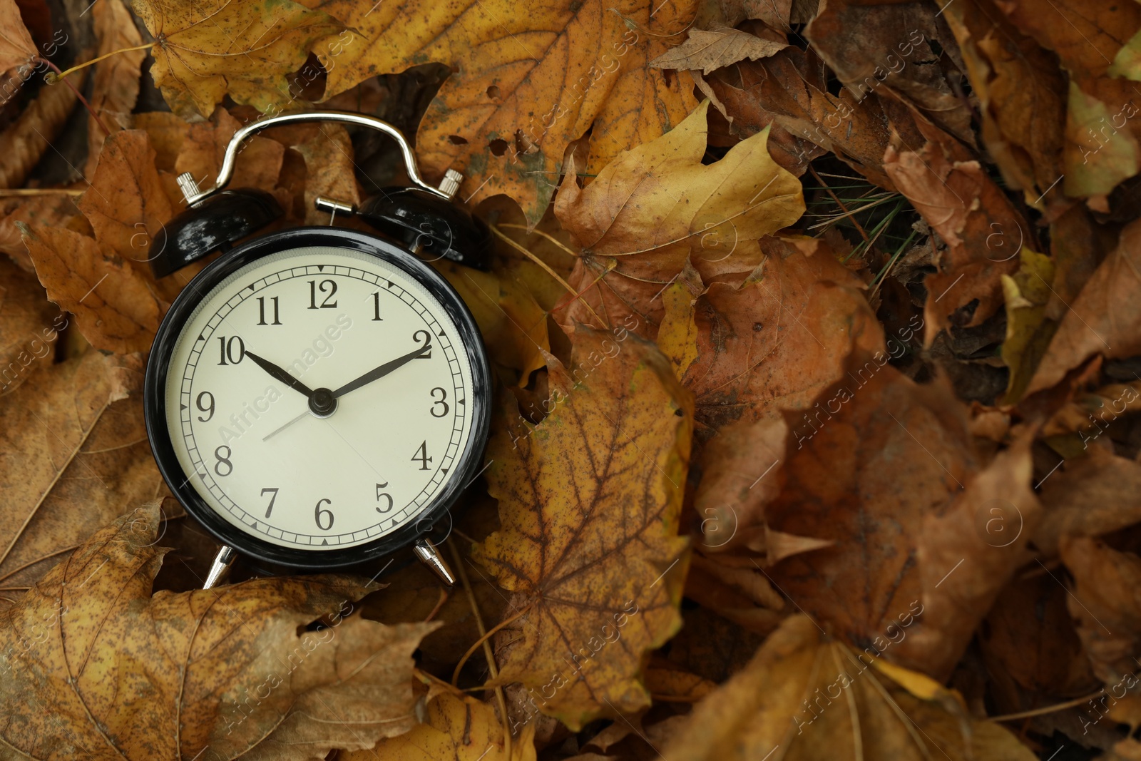 Photo of Autumn time. Alarm clock on fallen leaves, top view with space for text