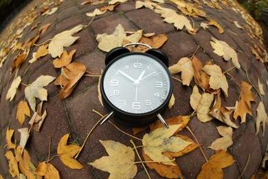 Autumn time. Alarm clock on pavement in park, wide angle lens