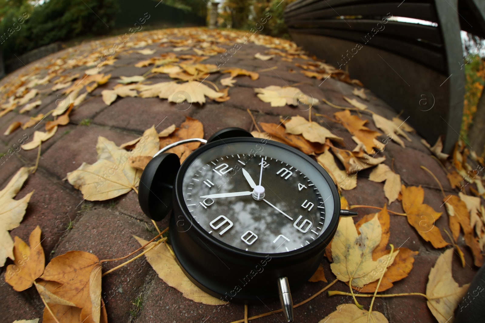 Photo of Autumn time. Alarm clock on pavement in park, wide angle lens