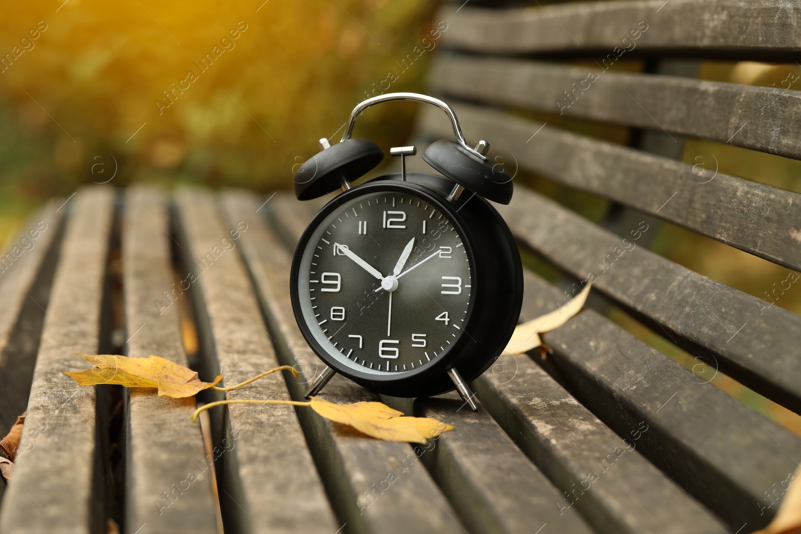 Photo of Autumn time. Alarm clock on bench in park, closeup