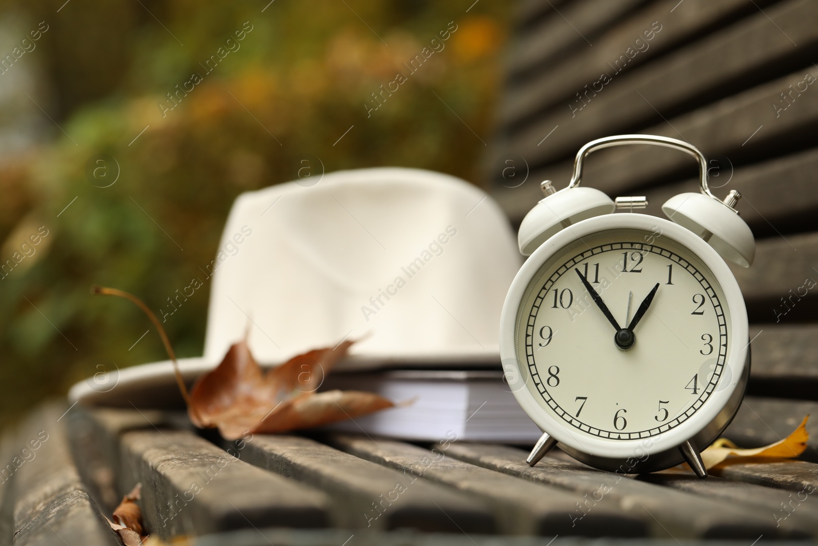 Photo of Autumn time. Alarm clock, hat and book on bench in park, closeup