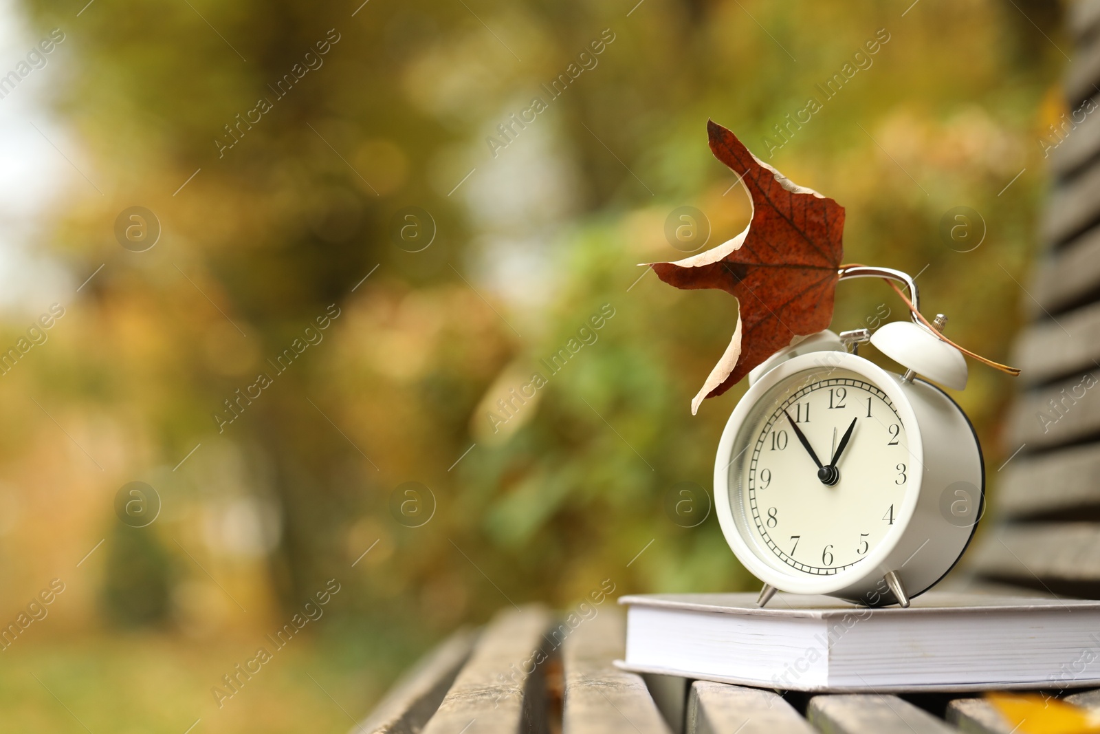 Photo of Autumn time. Alarm clock and book on bench in park, closeup. Space for text