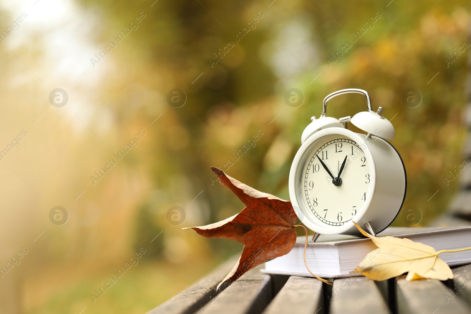 Photo of Autumn time. Alarm clock and book on bench in park, closeup. Space for text