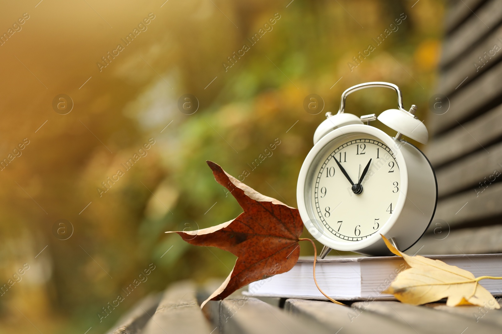 Photo of Autumn time. Alarm clock and book on bench in park, closeup. Space for text