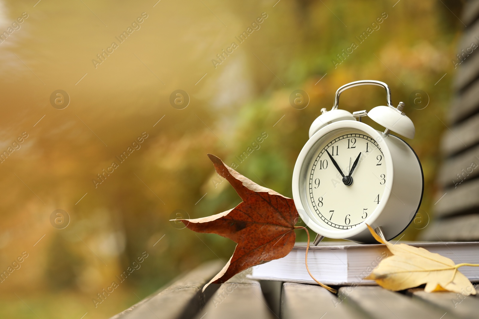 Photo of Autumn time. Alarm clock and book on bench in park, closeup. Space for text