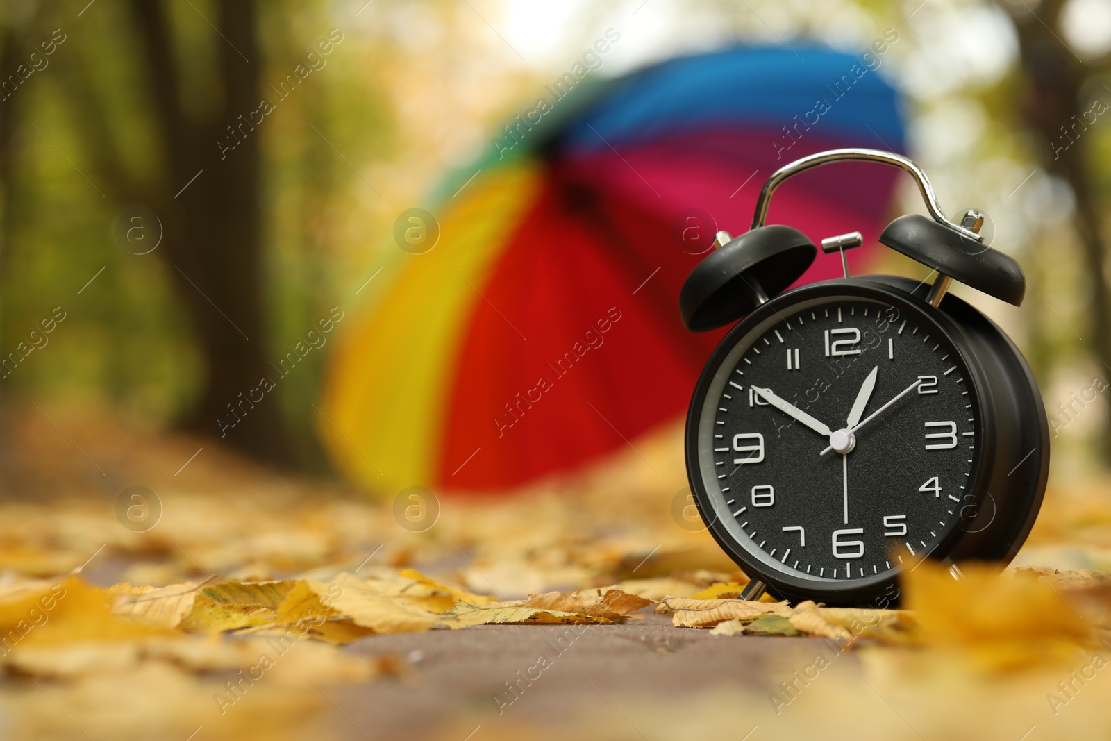 Photo of Autumn time. Alarm clock and umbrella in park, selective focus. Space for text