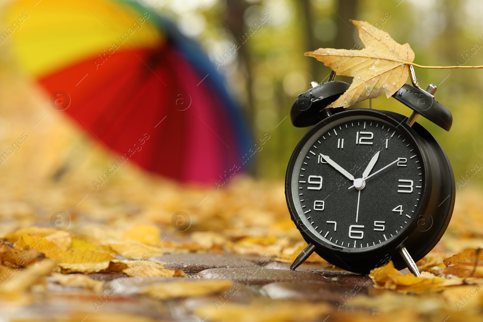 Photo of Autumn time. Alarm clock and umbrella in park, selective focus. Space for text