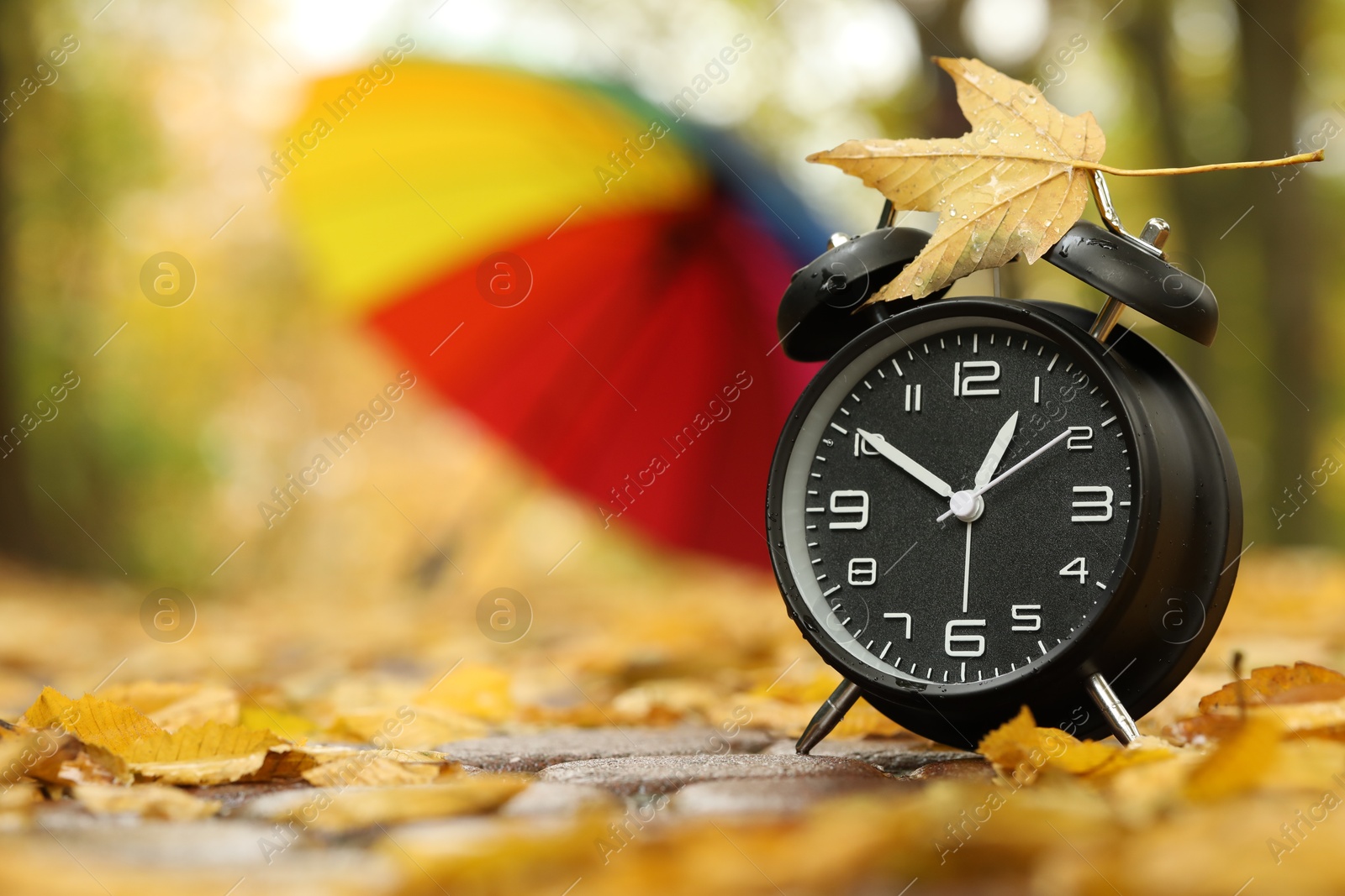 Photo of Autumn time. Alarm clock and umbrella in park, selective focus. Space for text