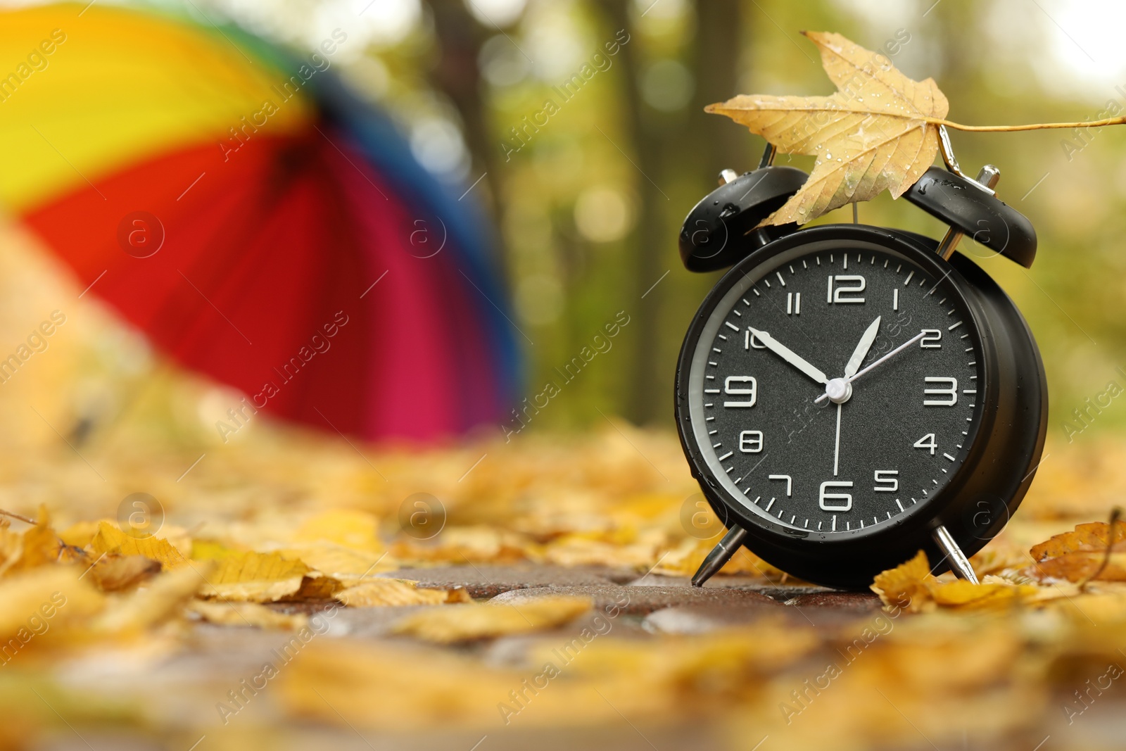 Photo of Autumn time. Alarm clock and umbrella in park, selective focus. Space for text