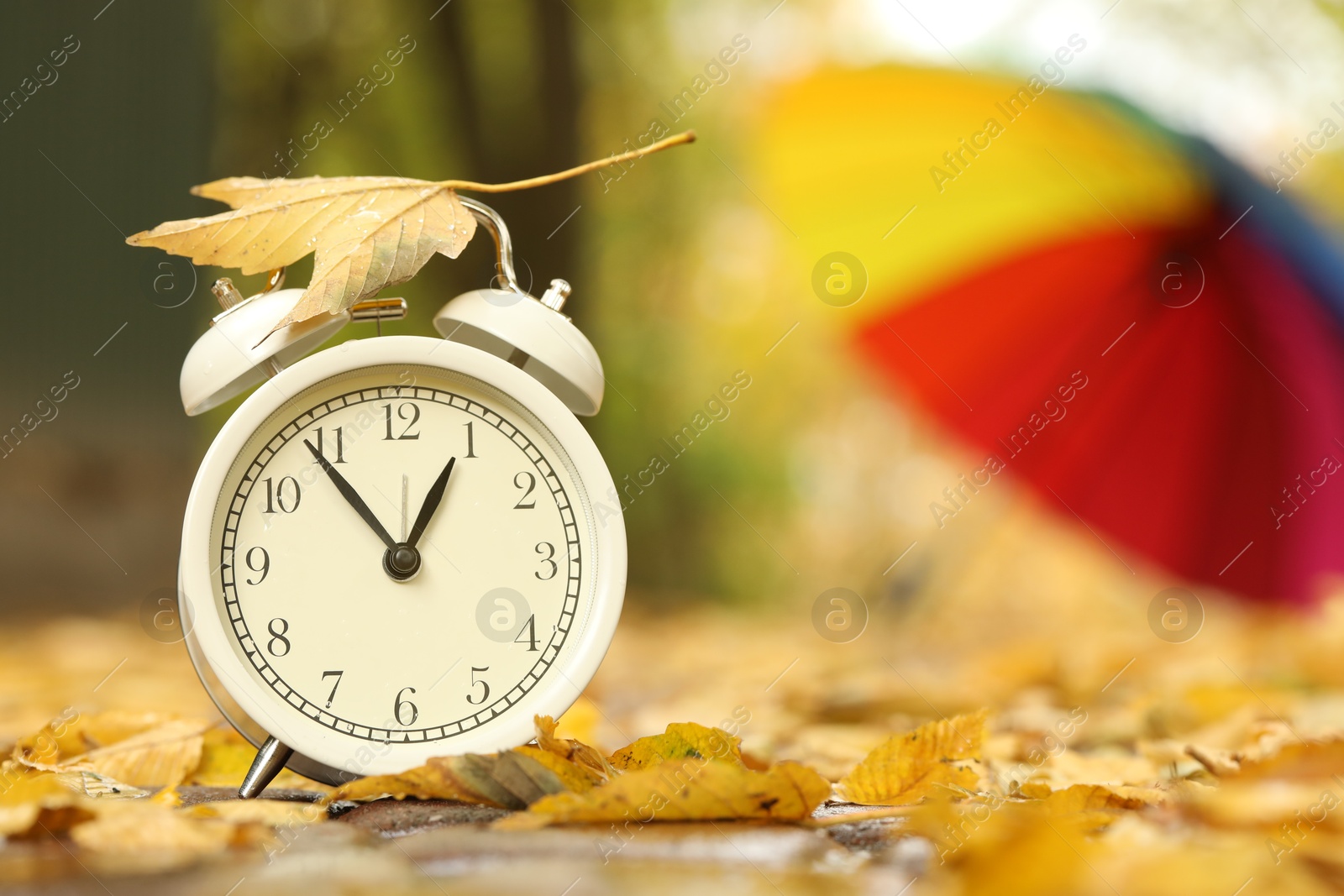 Photo of Autumn time. Alarm clock and umbrella in park, selective focus. Space for text