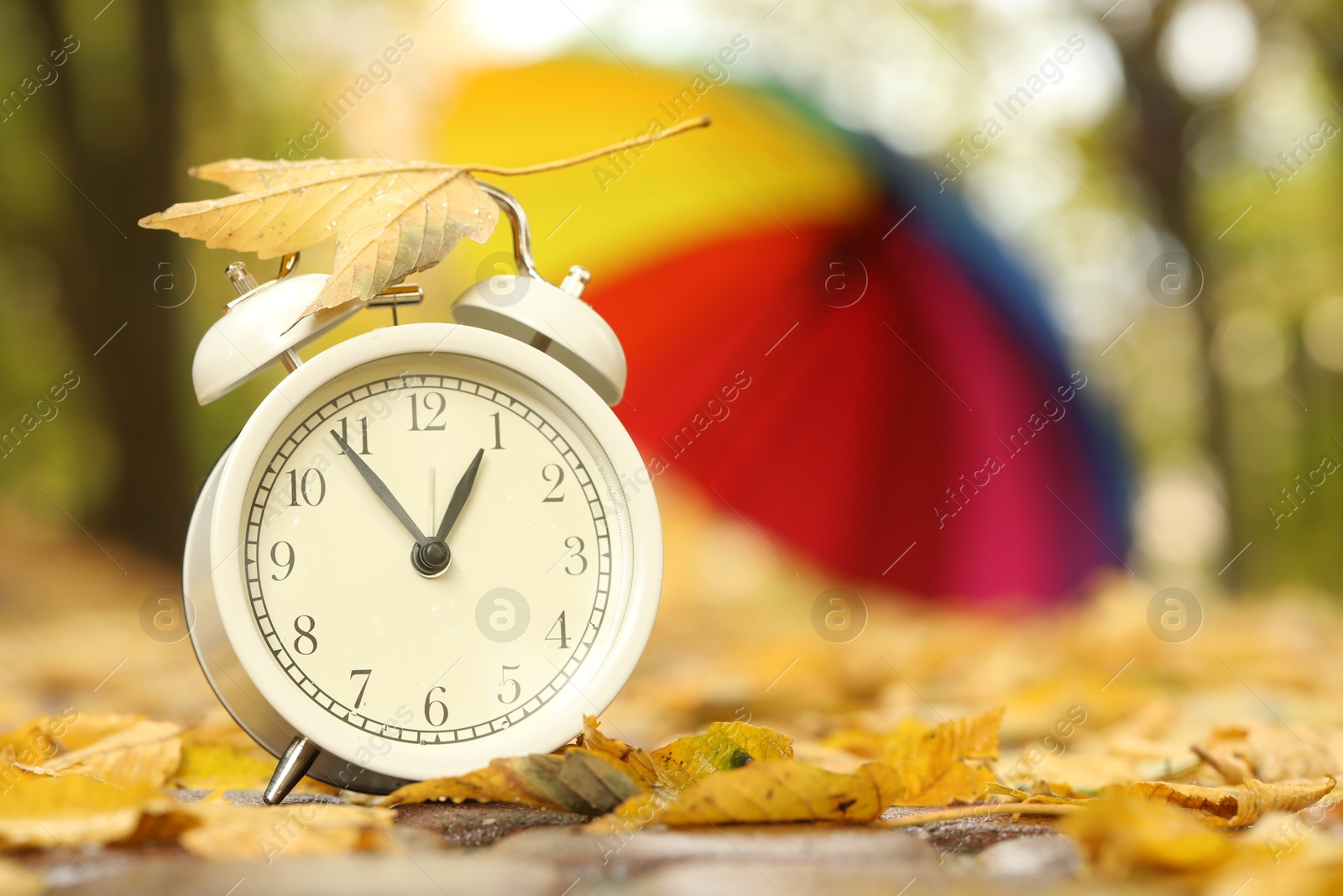 Photo of Autumn time. Alarm clock and umbrella in park, selective focus. Space for text