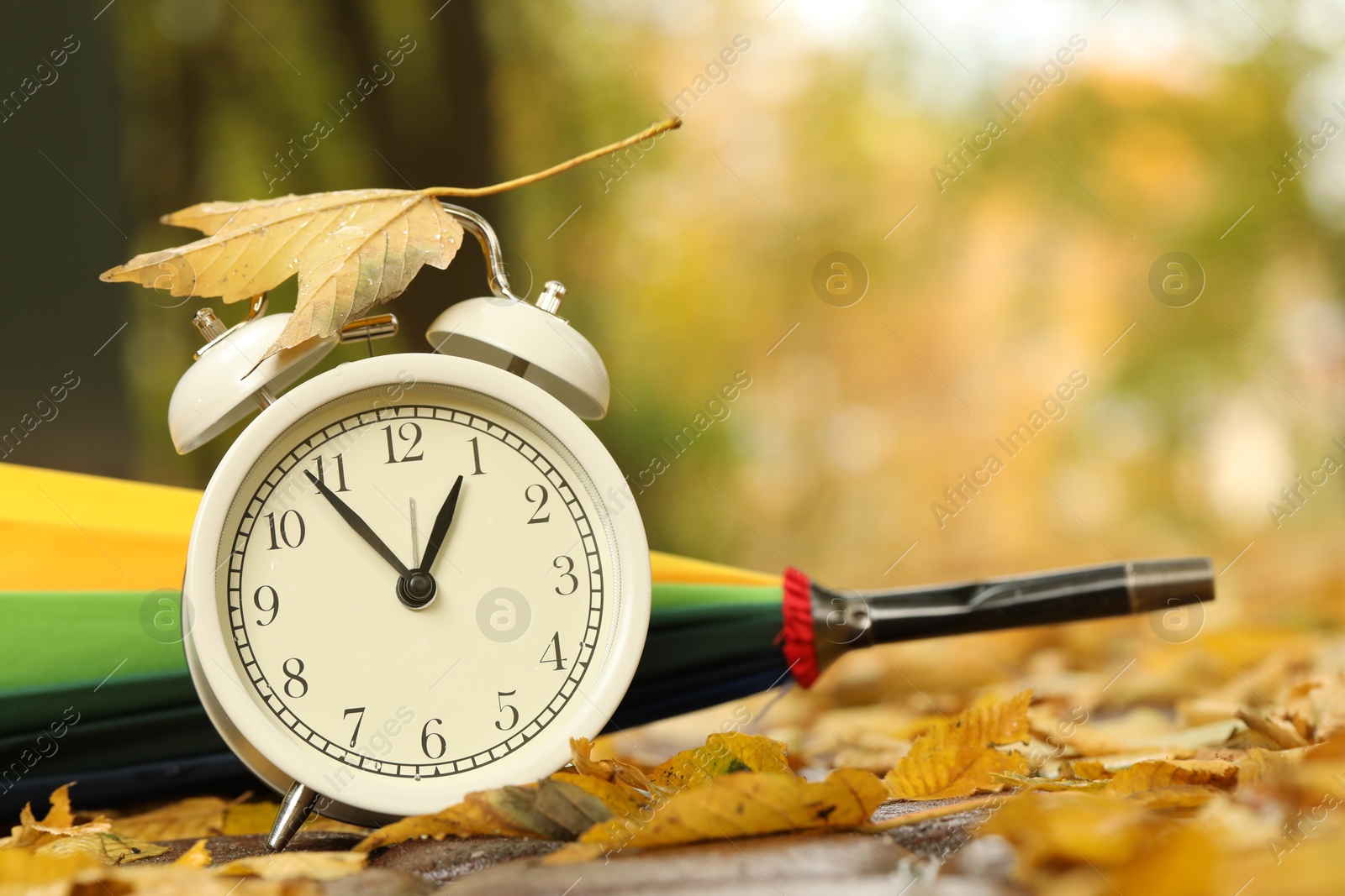 Photo of Autumn time. Alarm clock and umbrella in park, closeup