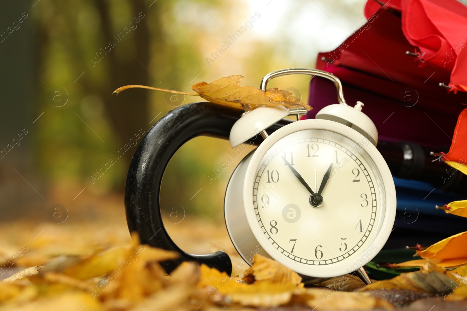 Photo of Autumn time. Alarm clock and umbrella in park, closeup