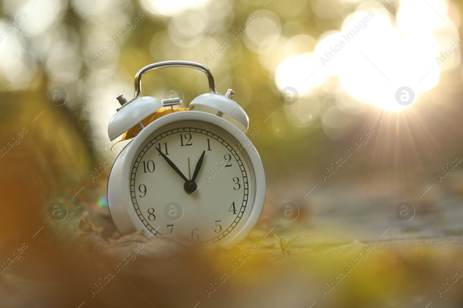 Photo of Autumn time. Alarm clock and fallen leaves on pathway in park, closeup with space for text