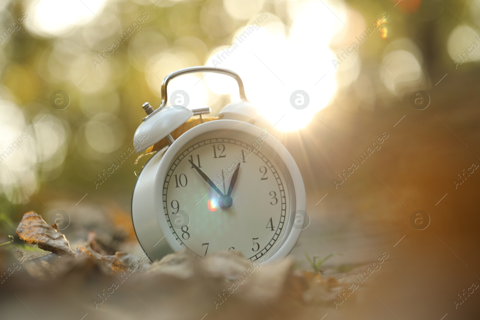 Photo of Autumn time. Alarm clock and fallen leaves on pathway in park, closeup