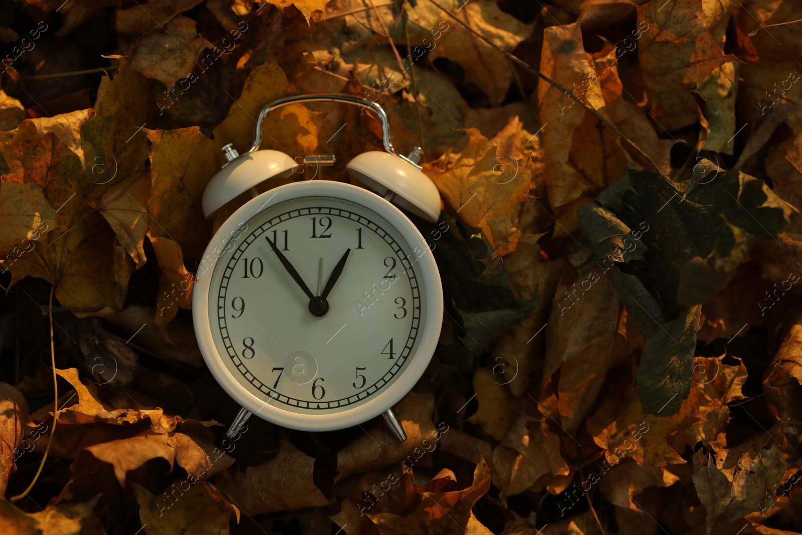 Photo of Autumn time. Alarm clock on fallen leaves outdoors, top view with space for text