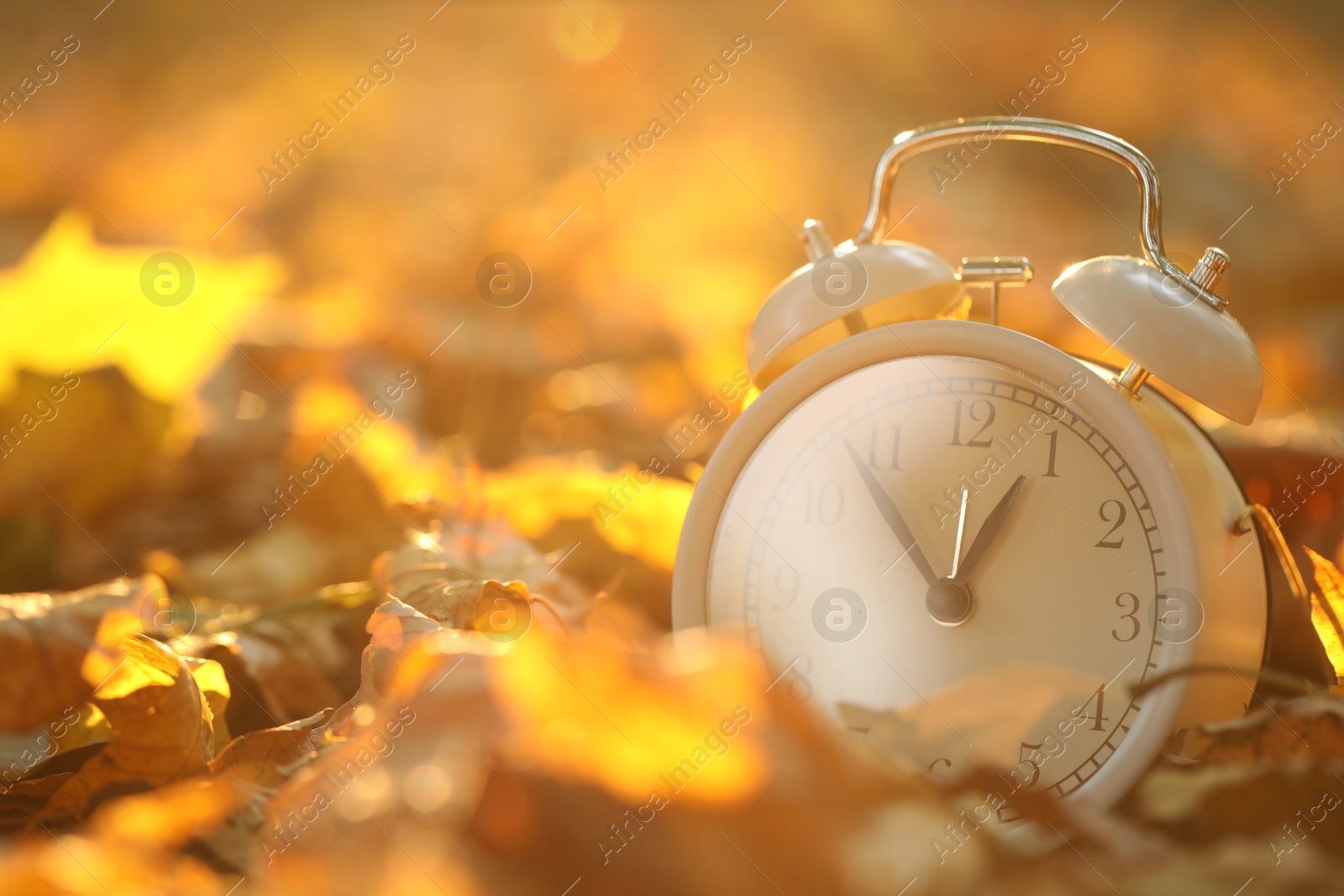 Photo of Autumn time. Alarm clock on fallen leaves outdoors, closeup with space for text