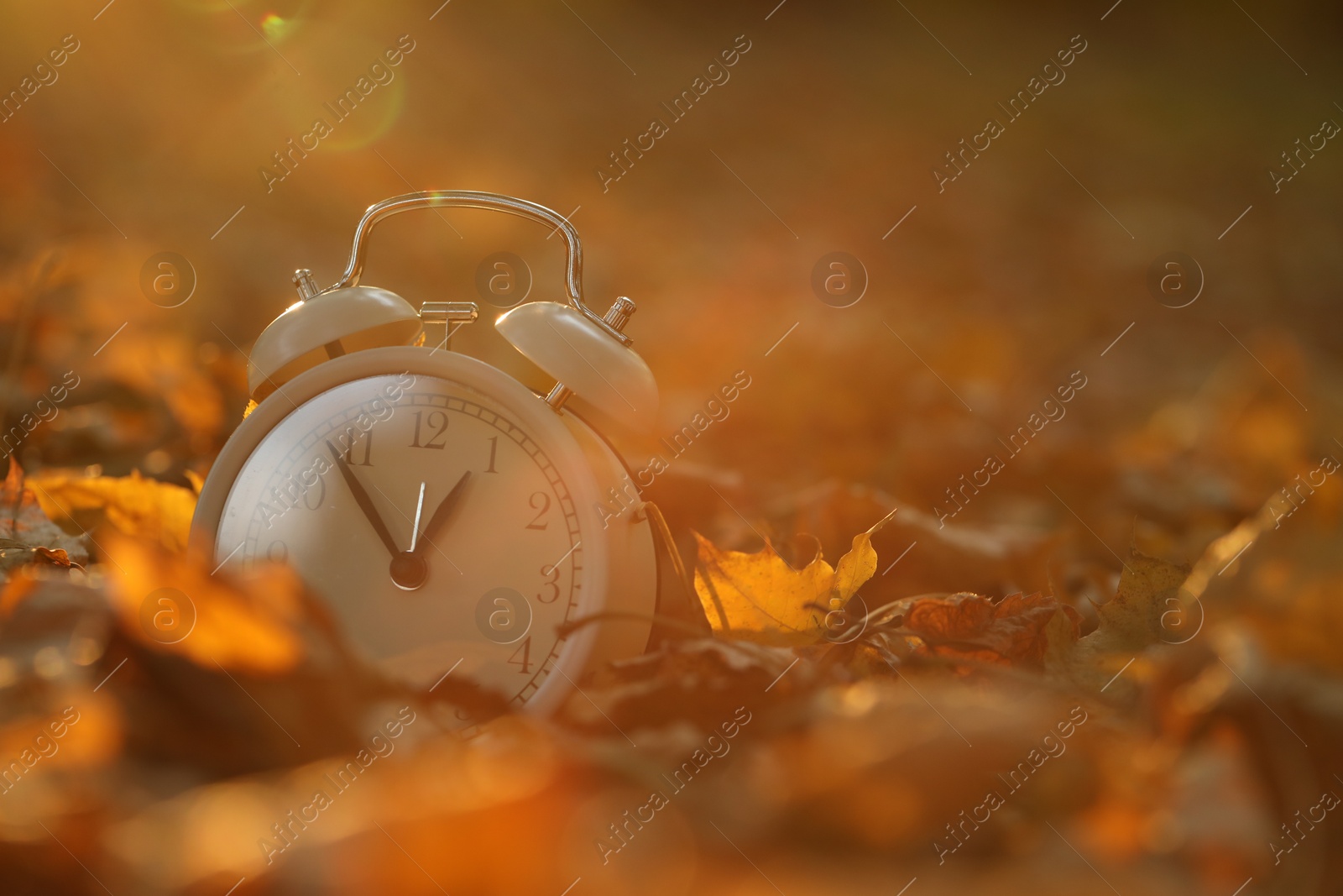 Photo of Autumn time. Alarm clock on fallen leaves outdoors, closeup with space for text