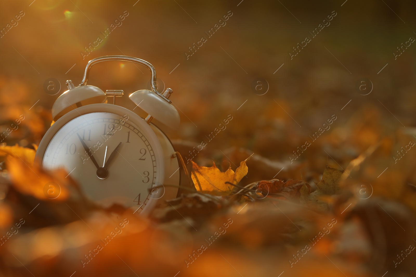 Photo of Autumn time. Alarm clock on fallen leaves outdoors, closeup with space for text