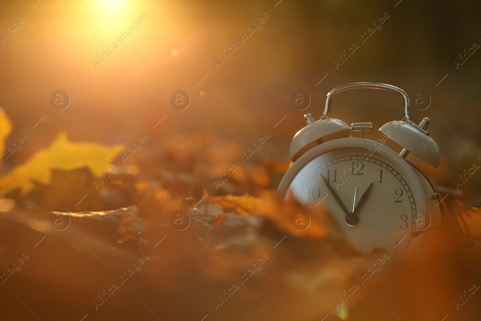 Photo of Autumn time. Alarm clock on fallen leaves outdoors, closeup with space for text