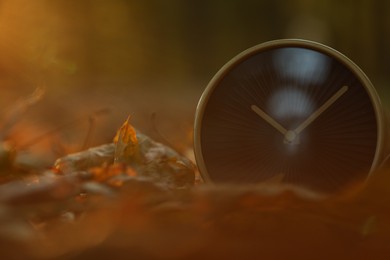 Photo of Autumn time. Alarm clock on fallen leaves outdoors, closeup with space for text