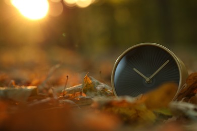 Photo of Autumn time. Alarm clock on fallen leaves outdoors, closeup with space for text