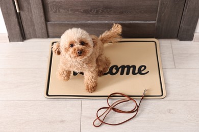 Photo of Walking with dog. Cute Maltipoo with leash near door indoors