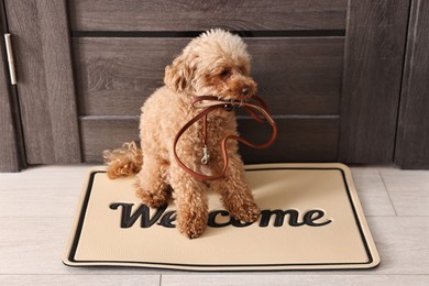 Photo of Walking with dog. Cute Maltipoo with leash near door indoors