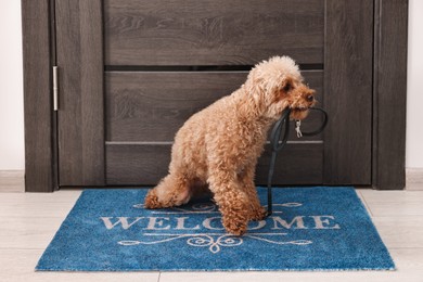 Photo of Walking with dog. Cute Maltipoo with leash near door indoors