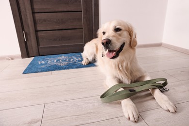 Photo of Walking with dog. Cute Golden Retriever with leash near door indoors