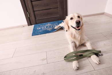 Photo of Walking with dog. Cute Golden Retriever with leash near door indoors