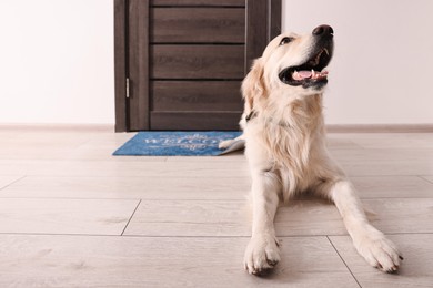 Photo of Walking with dog. Cute Golden Retriever near door indoors