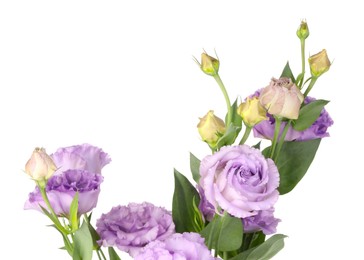 Photo of Beautiful violet eustoma flowers with green leaves isolated on white