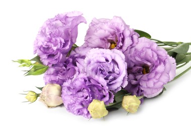 Photo of Beautiful violet eustoma flowers with green leaves isolated on white