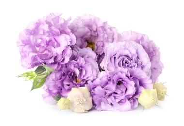 Photo of Bouquet of beautiful violet eustoma flowers isolated on white